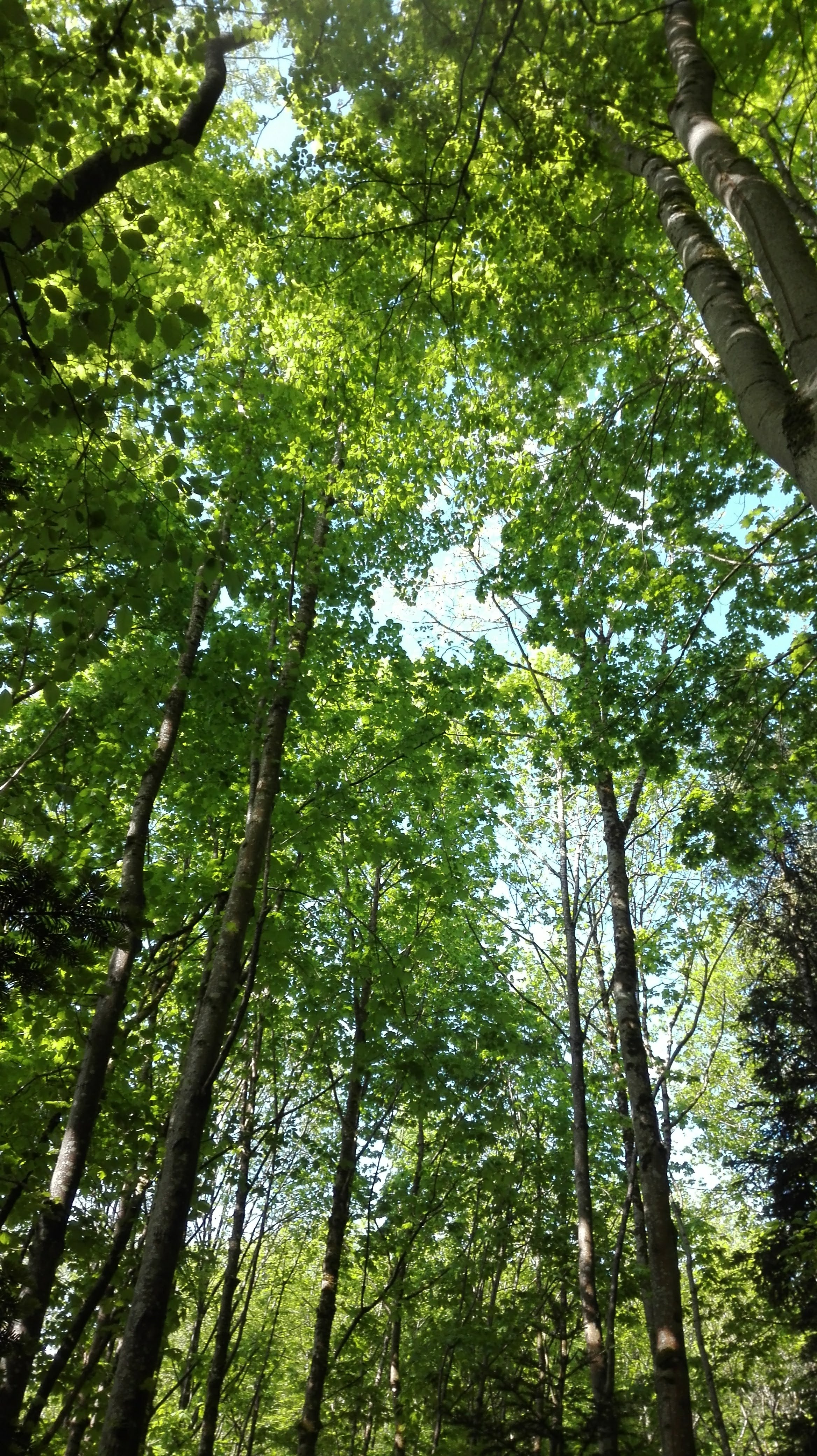 Photo n° 2 de l'avis de Nora.u fait le 29/04/2018 à 12:57