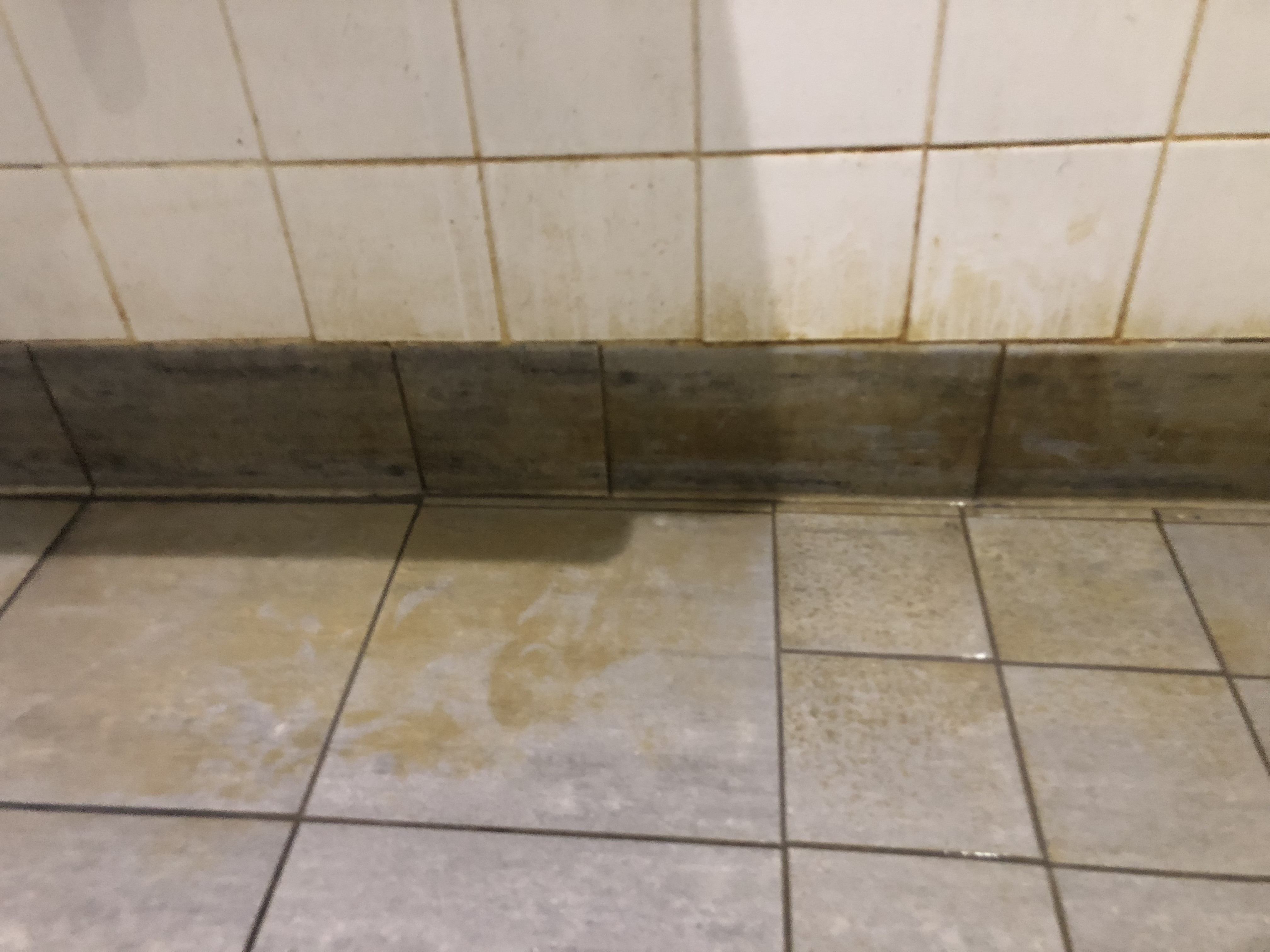Photo n° 1 de l'avis de Rodrigue.o fait le 12/10/2023 à 03:40