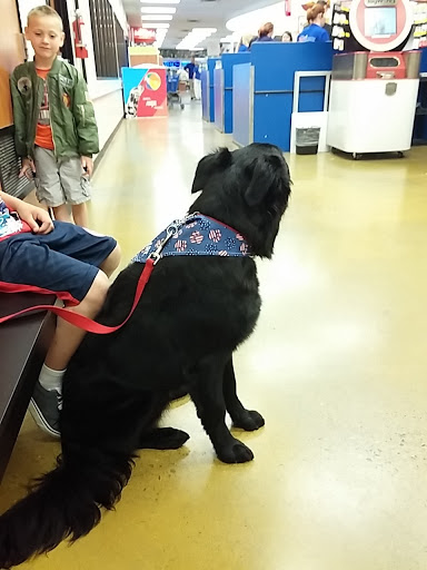 Pet Supply Store «PetSmart», reviews and photos, 9589 Ridgetop Blvd NW, Silverdale, WA 98383, USA