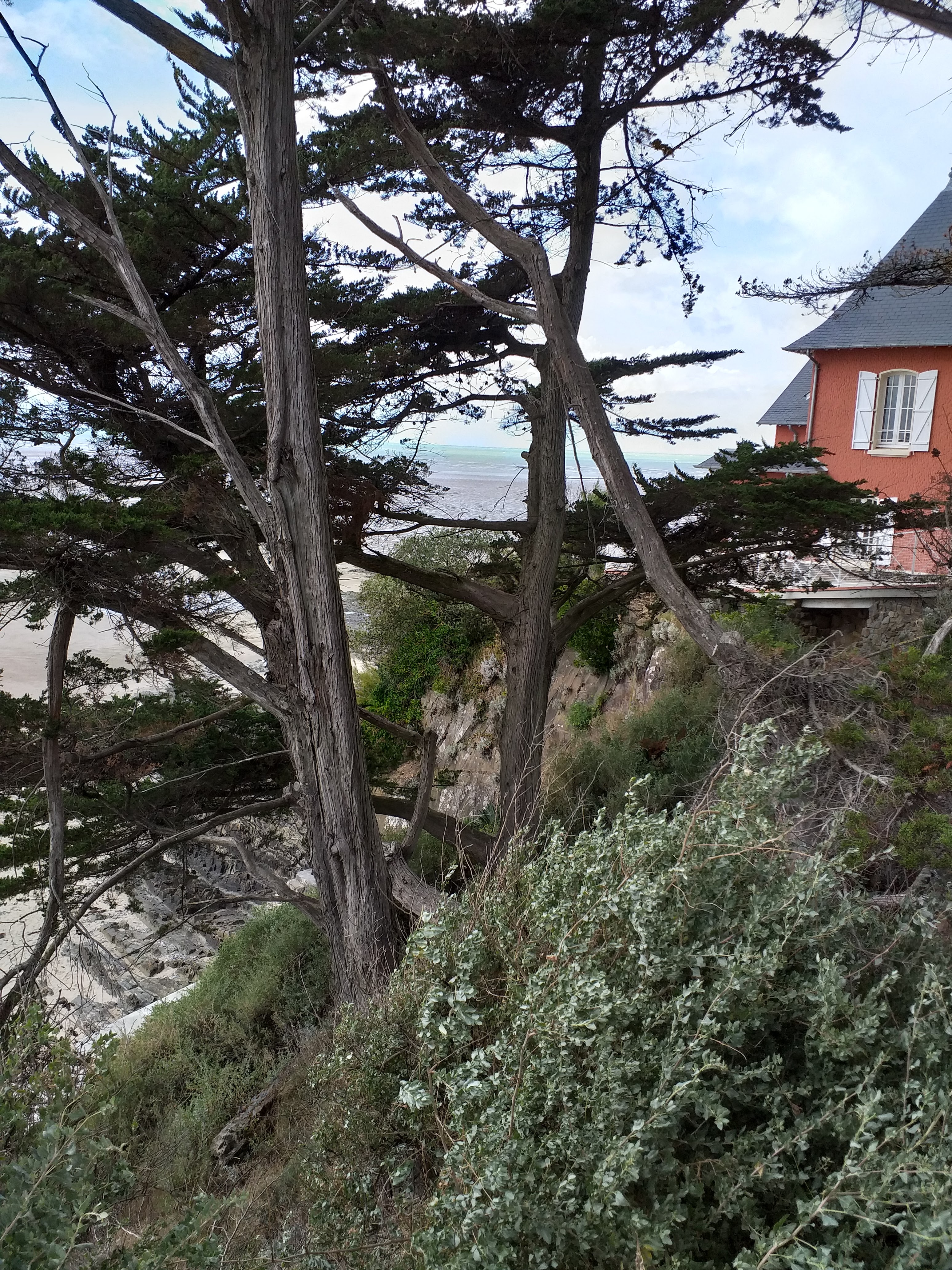 Photo n° 5 de l'avis de Néant. fait le 04/09/2019 à 18:05