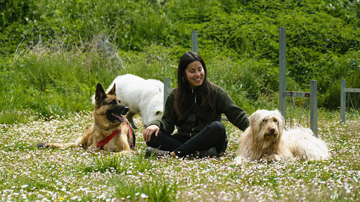 Atúk Formación y Educación Canina - Centelles