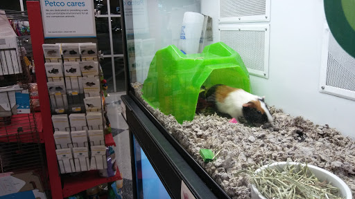 Pet Supply Store «Petco Animal Supplies», reviews and photos, 430 N Euclid St, Anaheim, CA 92801, USA