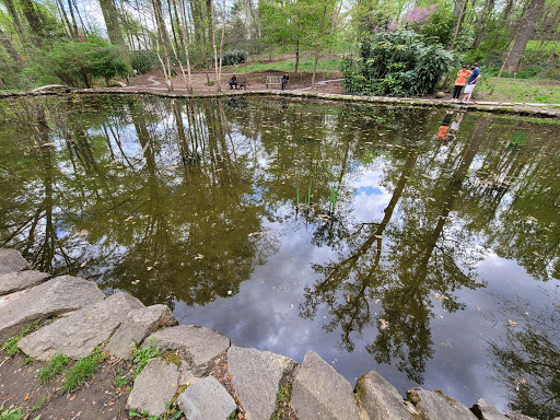 Nature Preserve «Tregaron Conservancy», reviews and photos, 3100 Macomb St NW, Washington, DC 20008, USA