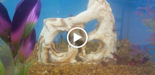 Pet Supply Store «PetSmart», reviews and photos, 7574 Voice of America Centre Dr, West Chester Township, OH 45069, USA