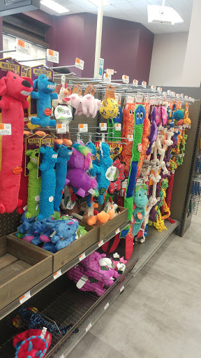 Pet Supply Store «Unleashed by Petco», reviews and photos, 3704 East-West Hwy #130, Hyattsville, MD 20781, USA