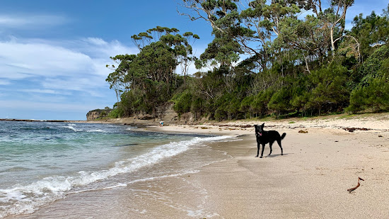 Collers Beach