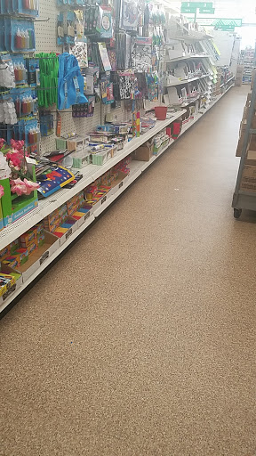 Dollar Store «Dollar Tree», reviews and photos, 1771 Ritchie Station Ct, Capitol Heights, MD 20790, USA