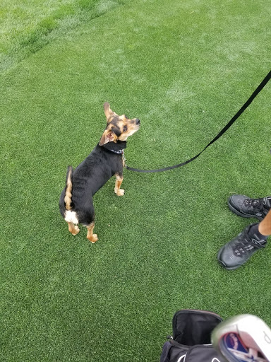 Golf Course «Rhodes Ranch Golf Club», reviews and photos, 20 E Rhodes Ranch Pkwy, Las Vegas, NV 89148, USA