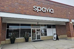 Spavia Day Spa - Minnetonka image