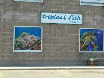 Tropical Fish Imports