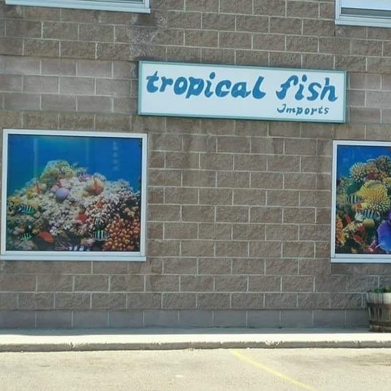 Tropical Fish Imports