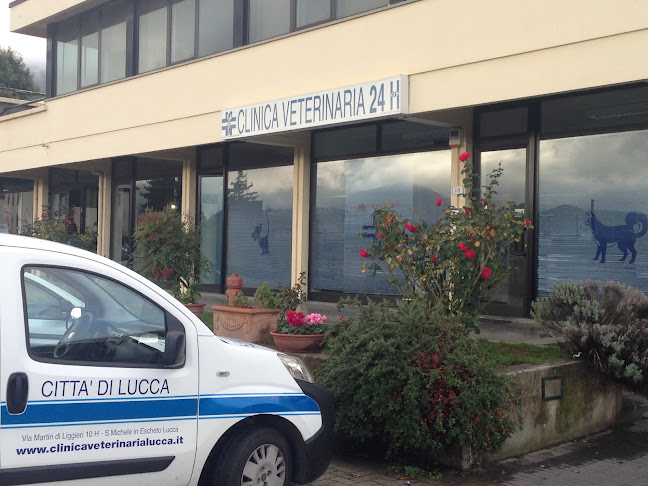 Clinica Veterinaria 24 ore Città di Lucca