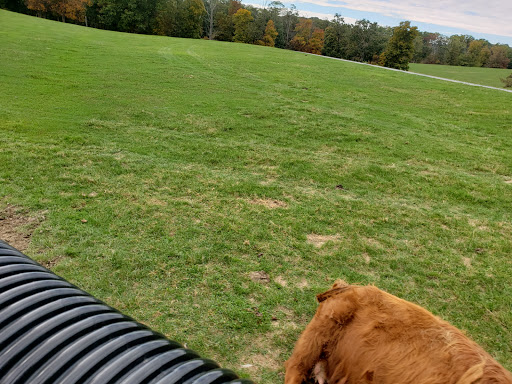 Park «Lake Tobias Wildlife Park», reviews and photos, 760 Tobias Road, Halifax, PA 17032, USA