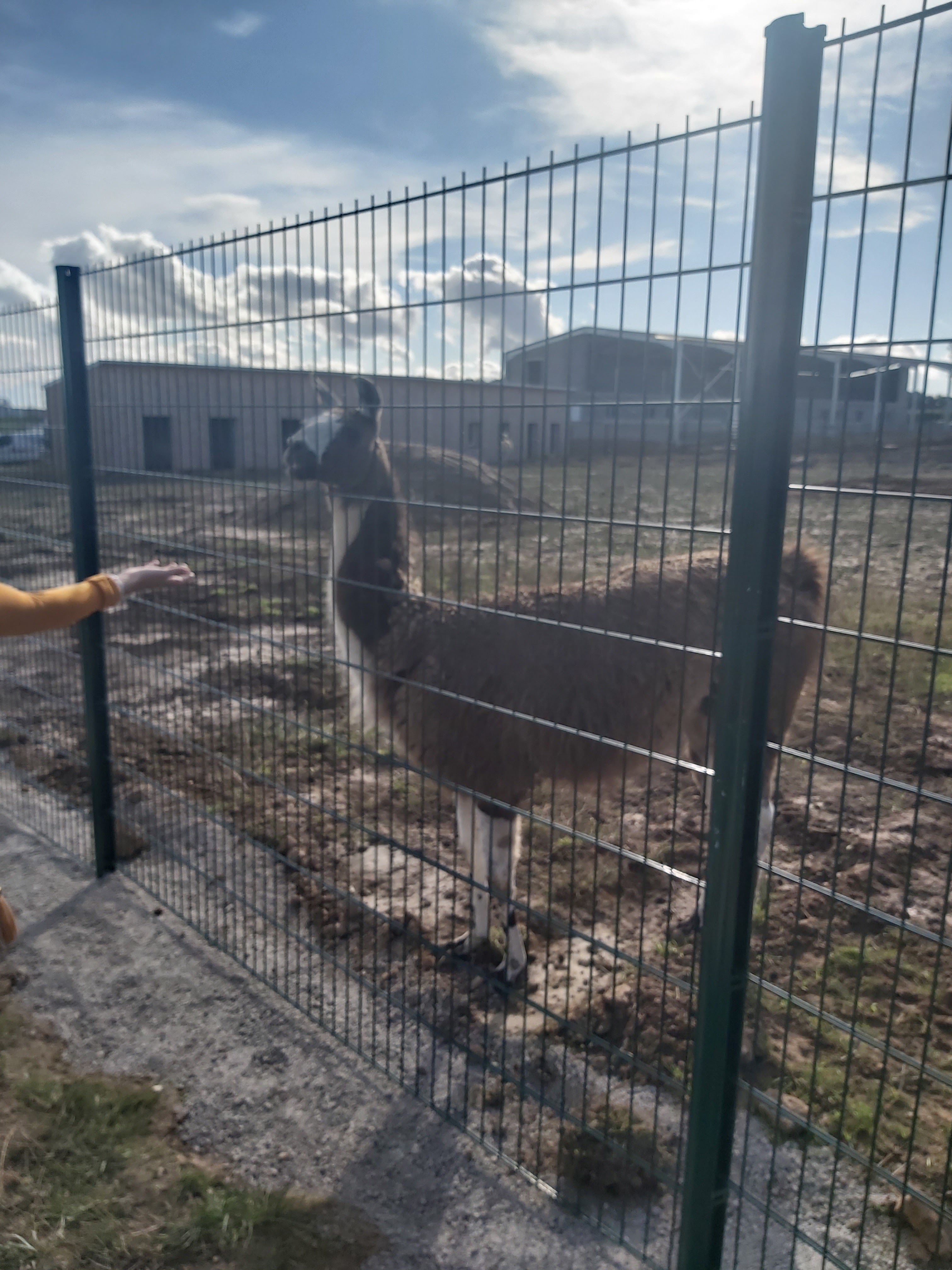 Photo n° 35 de l'avis de Laetitia.e fait le 23/10/2020 à 16:30