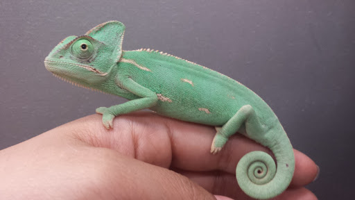 Pet Supply Store «Petco Animal Supplies», reviews and photos, 4751 W 29th St, Greeley, CO 80634, USA