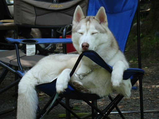 4501 NE 4th St B, Renton, WA 98059, USA