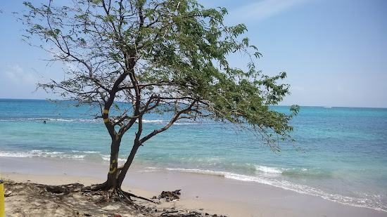 Laborie Bay