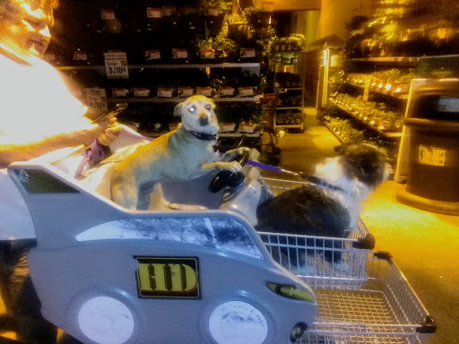 Home Improvement Store «The Home Depot», reviews and photos, 1551 Froom Ranch Way, San Luis Obispo, CA 93405, USA