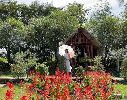 Top 20 cửa hàng cây kiểng Thành phố Phan Thiết Bình Thuận 2022