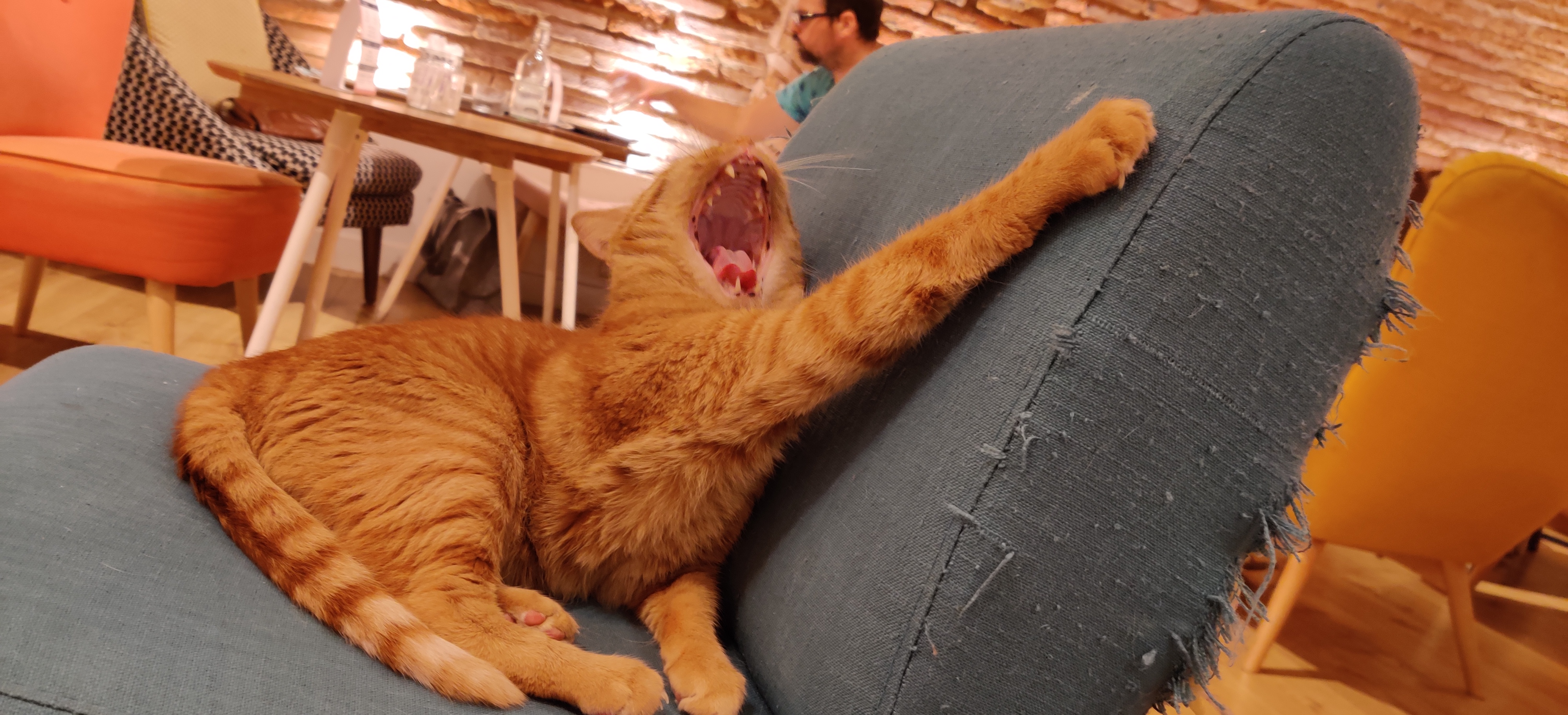 Photo n° 3 de l'avis de Quentin.I fait le 24/07/2019 à 12:59
