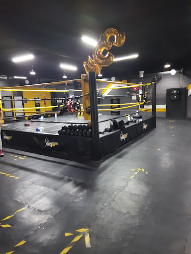 Knock Out Boxing & Fitness Gym
