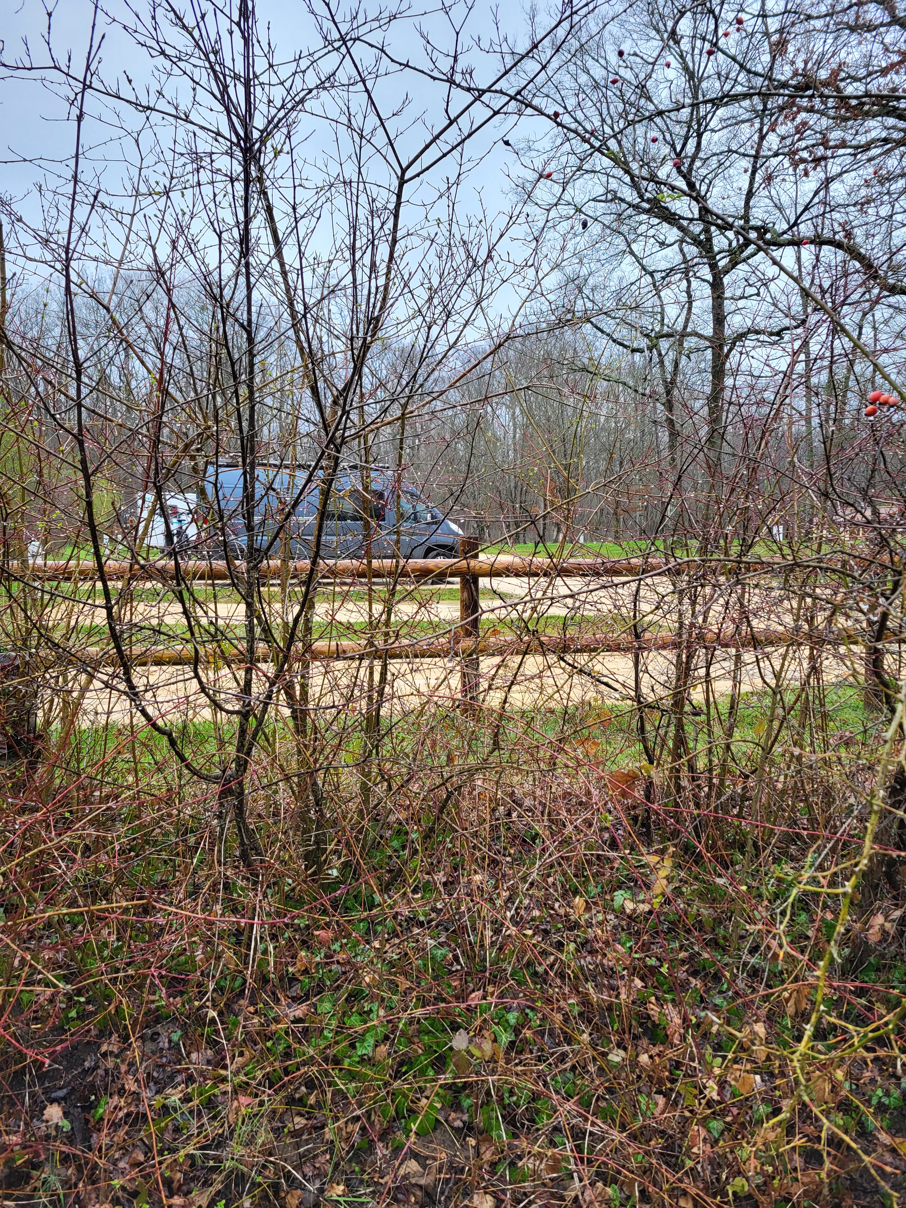 Photo n° 15 de l'avis de Clomano. fait le 08/03/2024 à 16:58