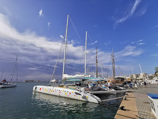Magic Catamaran Palma de Mallorca