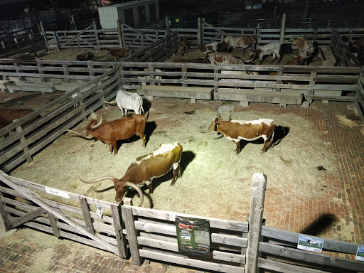 Tourist Attraction «Stockyards Championship Rodeo», reviews and photos, 121 E Exchange Ave, Fort Worth, TX 76164, USA