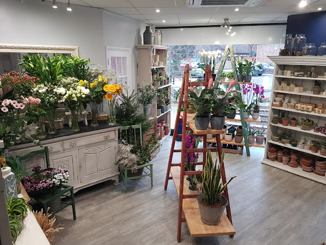 Comments and reviews of Jessica Lila Florist & Home