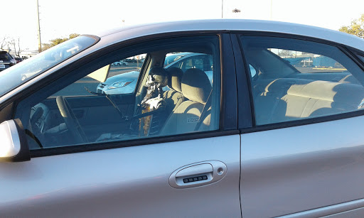 Craft Store «Michaels», reviews and photos, 831 Cortez Rd W, Bradenton, FL 34207, USA