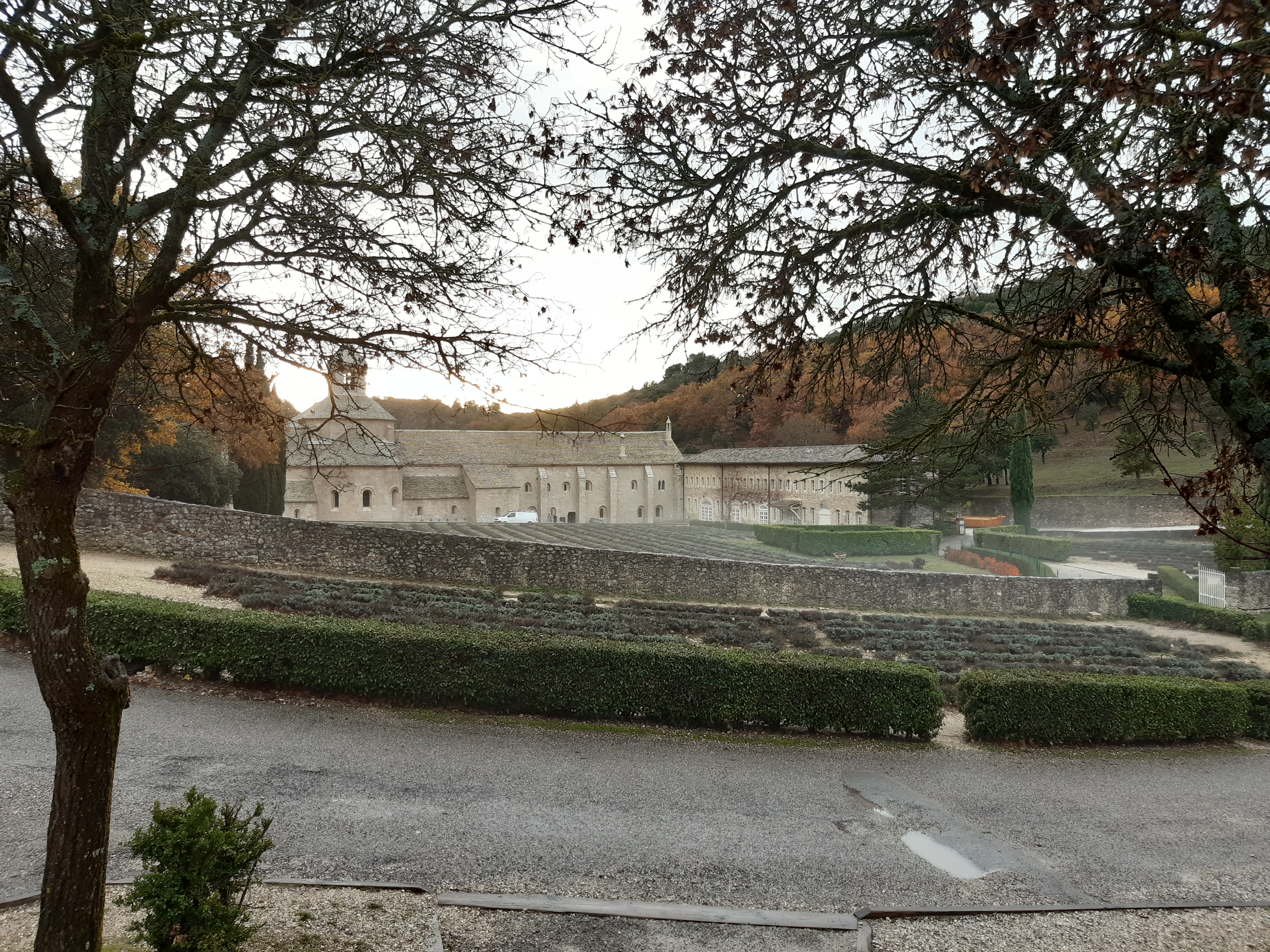 Photo n° 1 de l'avis de Michel.a fait le 14/12/2023 à 07:51