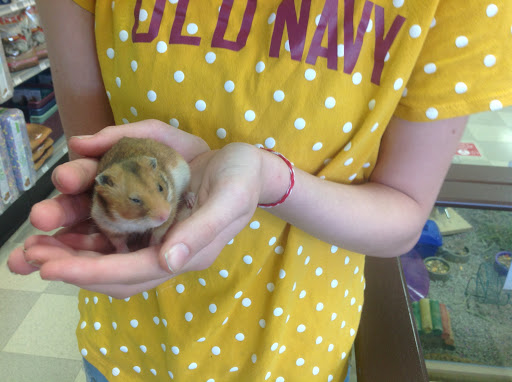 Pet Store «Petland», reviews and photos, 977 E State St, Athens, OH 45701, USA