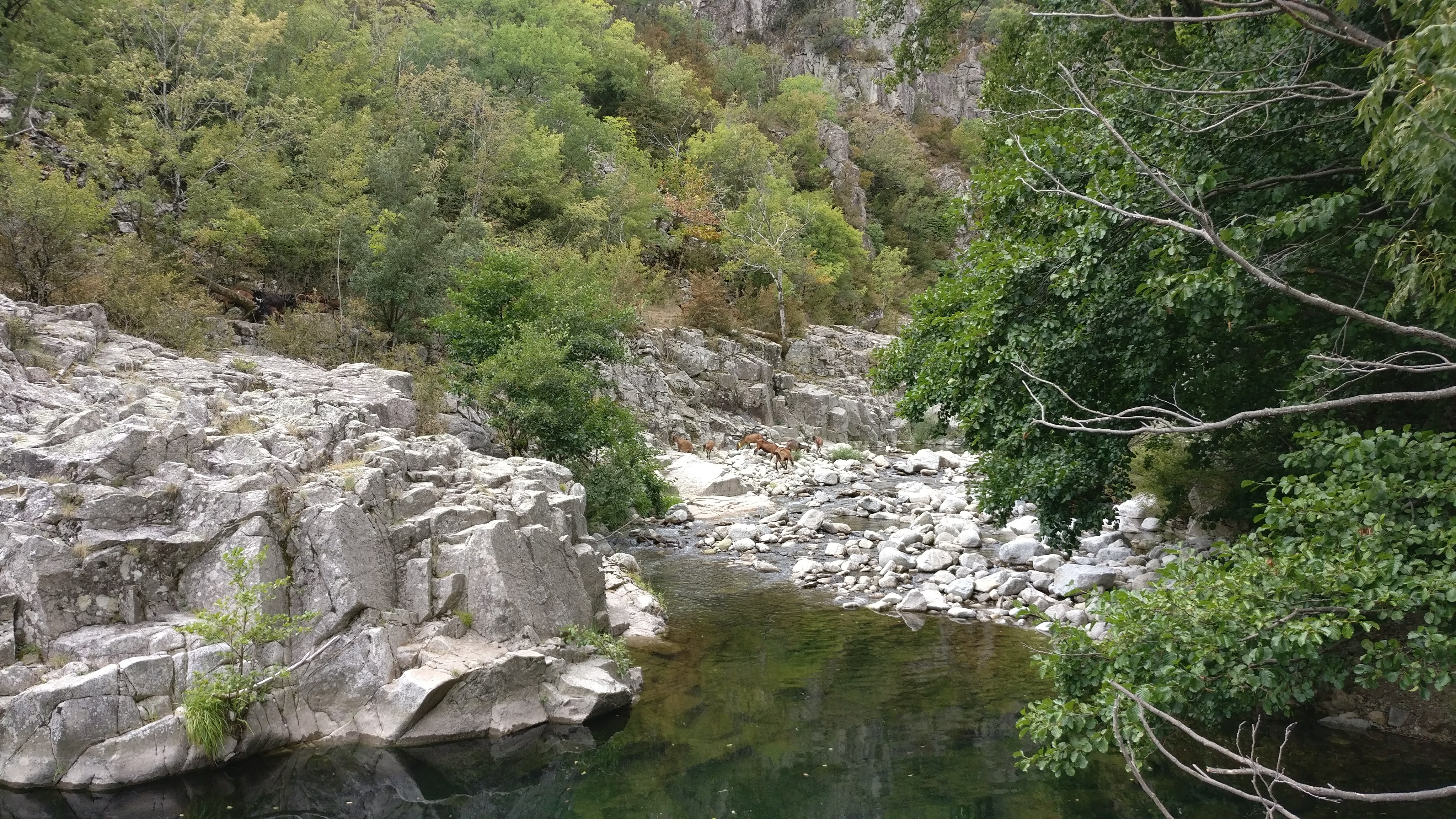 Photo n° 6 de l'avis de Charnay.L fait le 08/09/2017 à 05:06