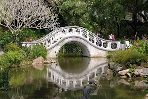 Western Hills, Sha Tin Park image