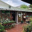 M&R Botanik Bahçe Salon Bitkiler Peyzaj Çiçek Ve Aksesuar
