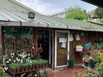M&R Botanik Bahçe Salon Bitkiler Peyzaj Çiçek Ve Aksesuar