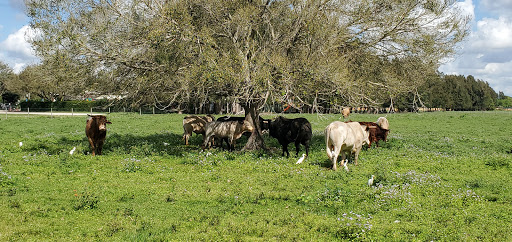 Park «Owl Park», reviews and photos, SW 26th St, Davie, FL 33325, USA