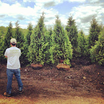 M.D. Landscape Construction LLC - Photo 5 - Car repair in Boylston, MA, Worcester