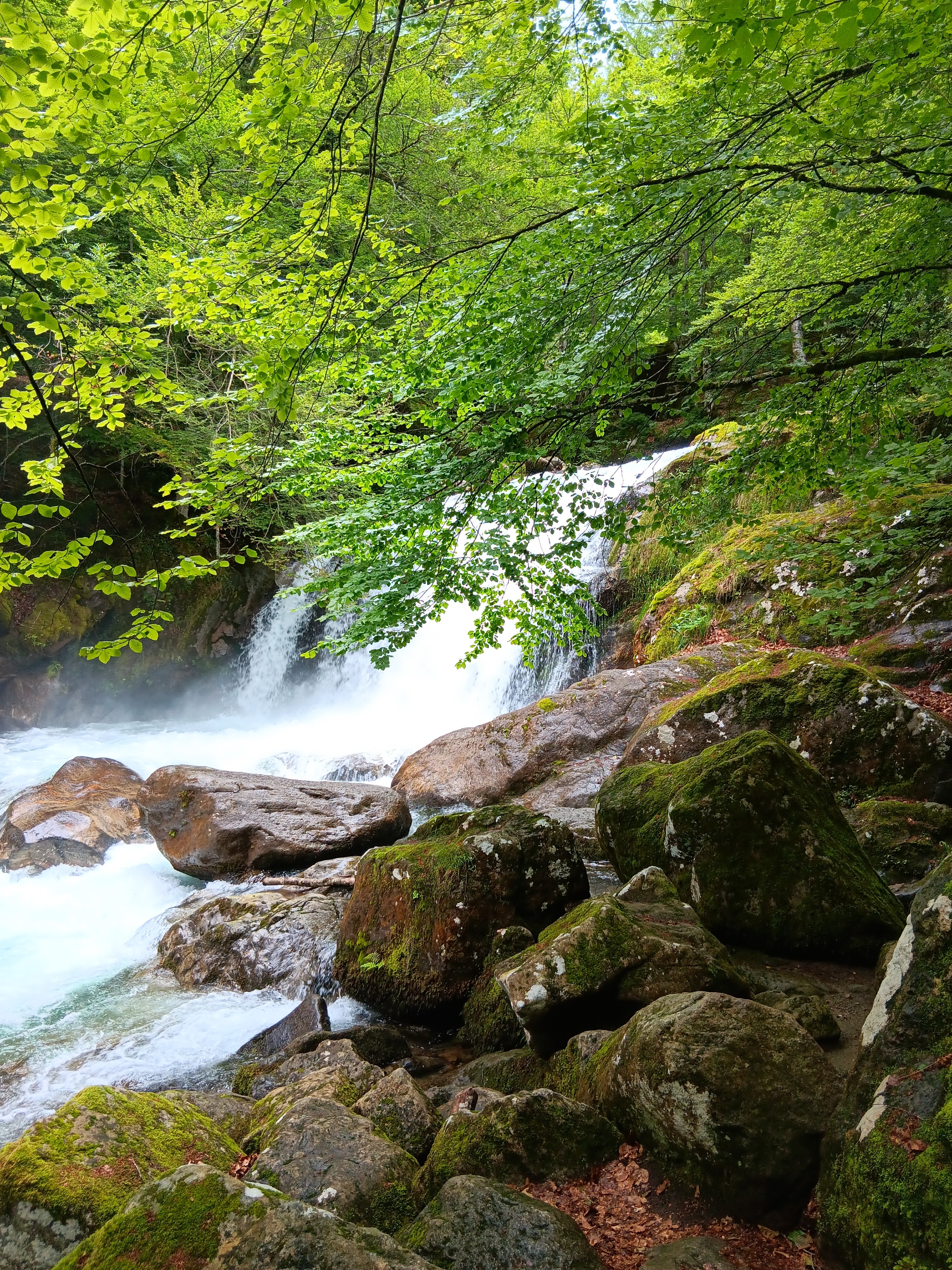 Photo n° 1 de l'avis de Sylvie.R fait le 22/06/2023 à 12:07