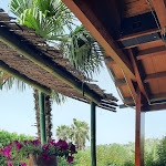 Photo n°5 de l'avis de antonina.c fait le 25/04/2022 à 21:25 sur le  Oasi del Lago à Regalbuto