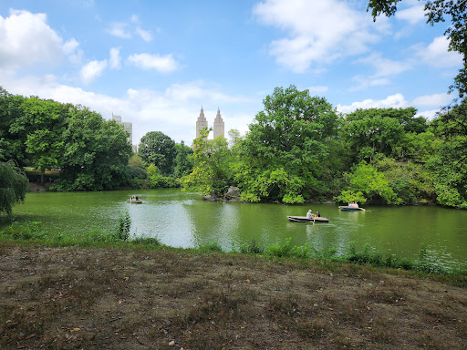 Balto Statue, East Dr, New York, NY 10022