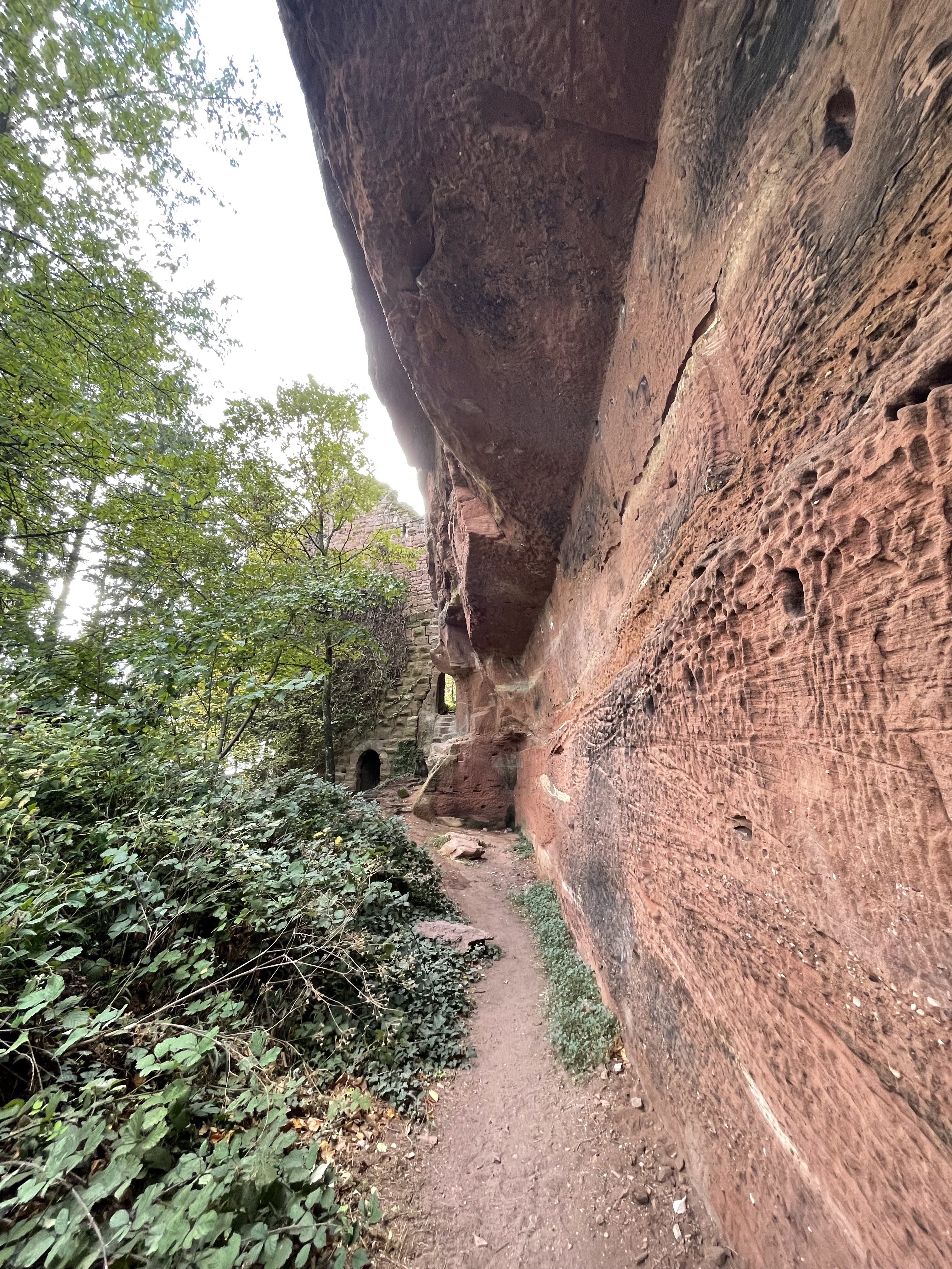 Photo n° 3 de l'avis de Chloé. fait le 25/10/2023 à 21:18