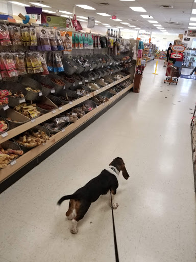 Pet Supply Store «Four Your Paws Only», reviews and photos, 1821 White Mountain Hwy, North Conway, NH 03860, USA