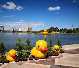 Duck Boat Hire On The Nong Prajak Lake photo