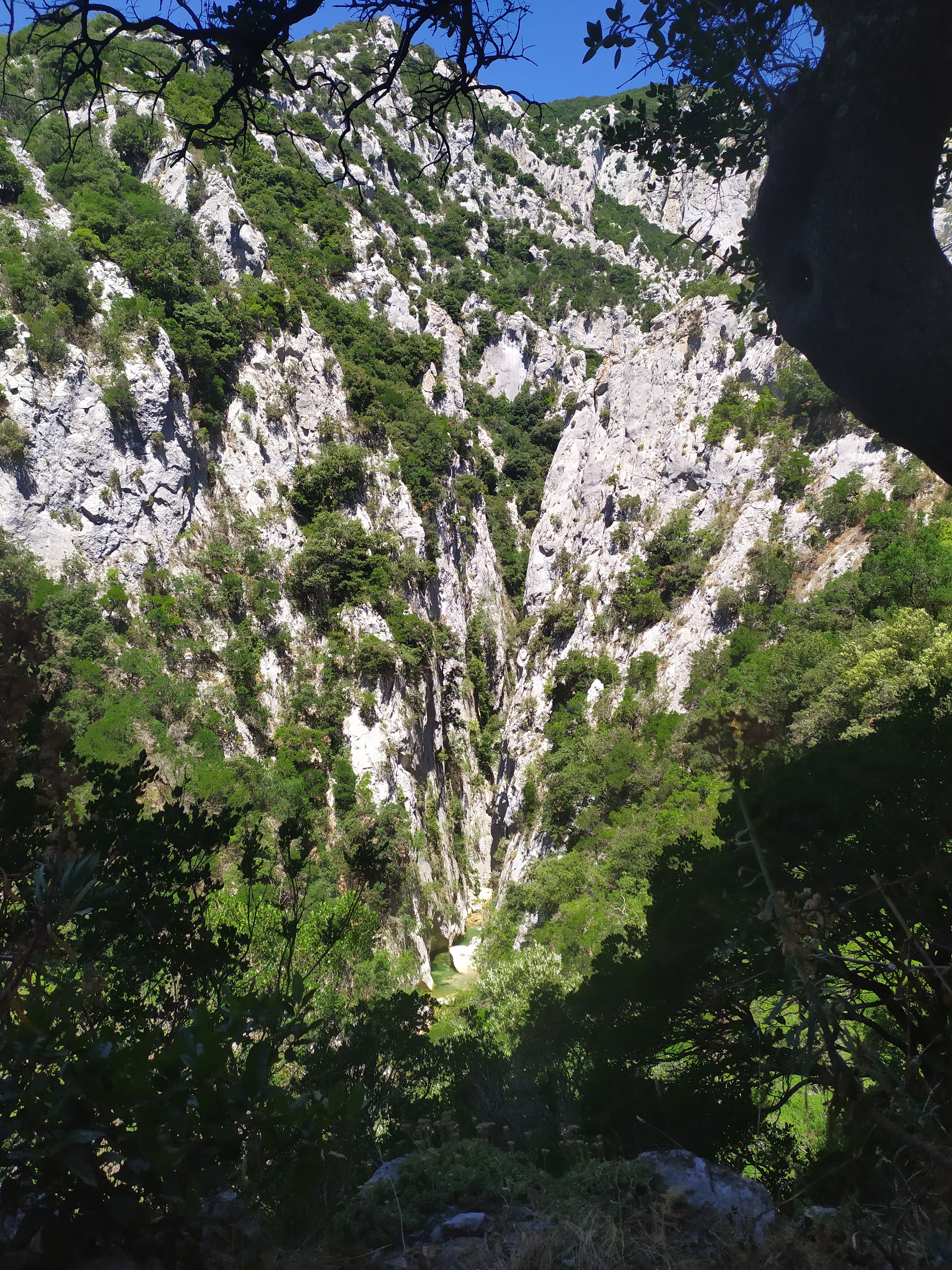 Photo n° 9 de l'avis de Romain.a fait le 05/07/2020 à 17:06