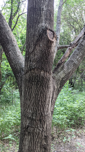 Park «Parr Park Sprayground», reviews and photos, 3010 Parr Ln, Grapevine, TX 76051, USA