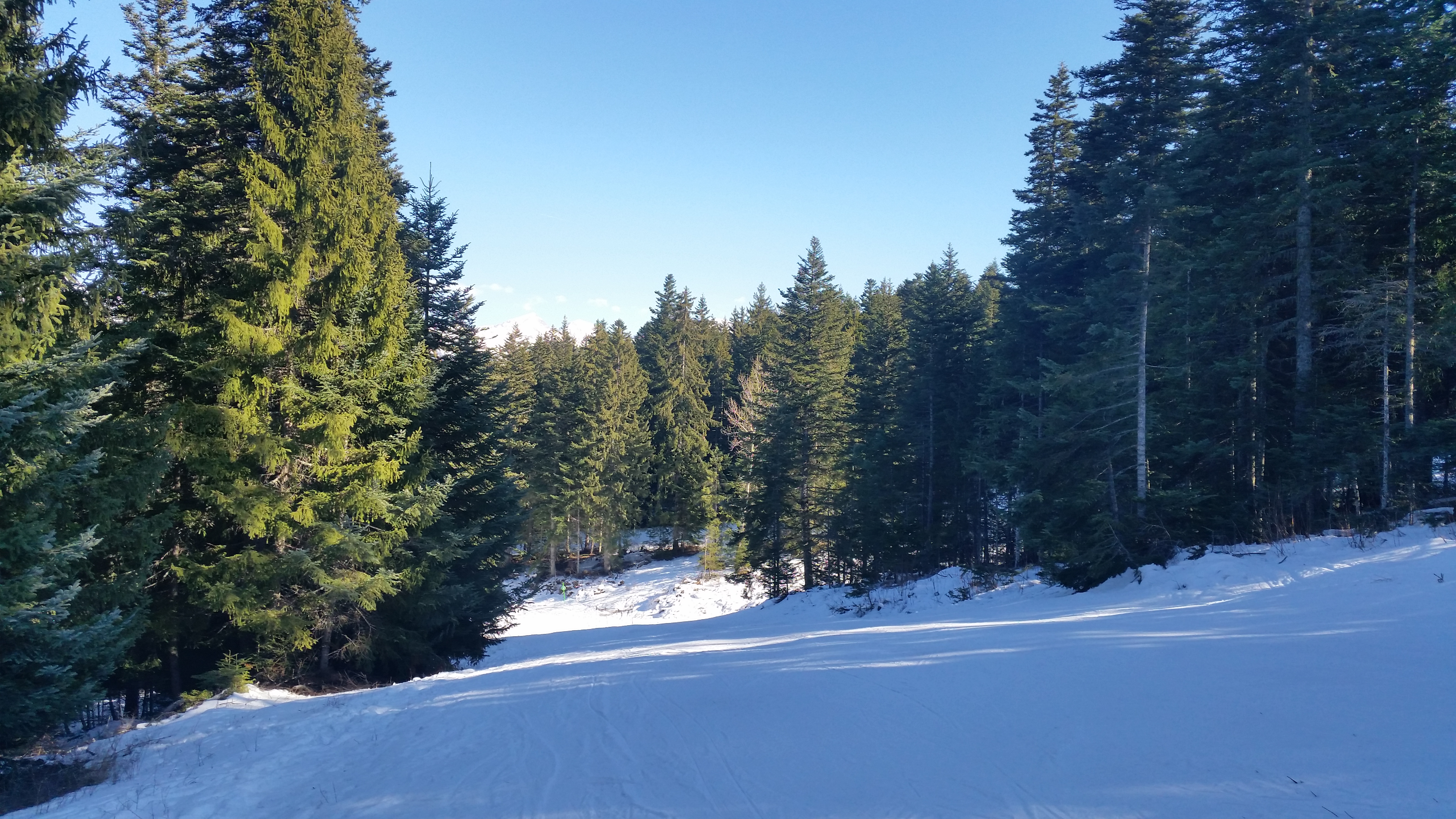 Photo n° 2 de l'avis de Philippe.e fait le 25/02/2017 à 12:53