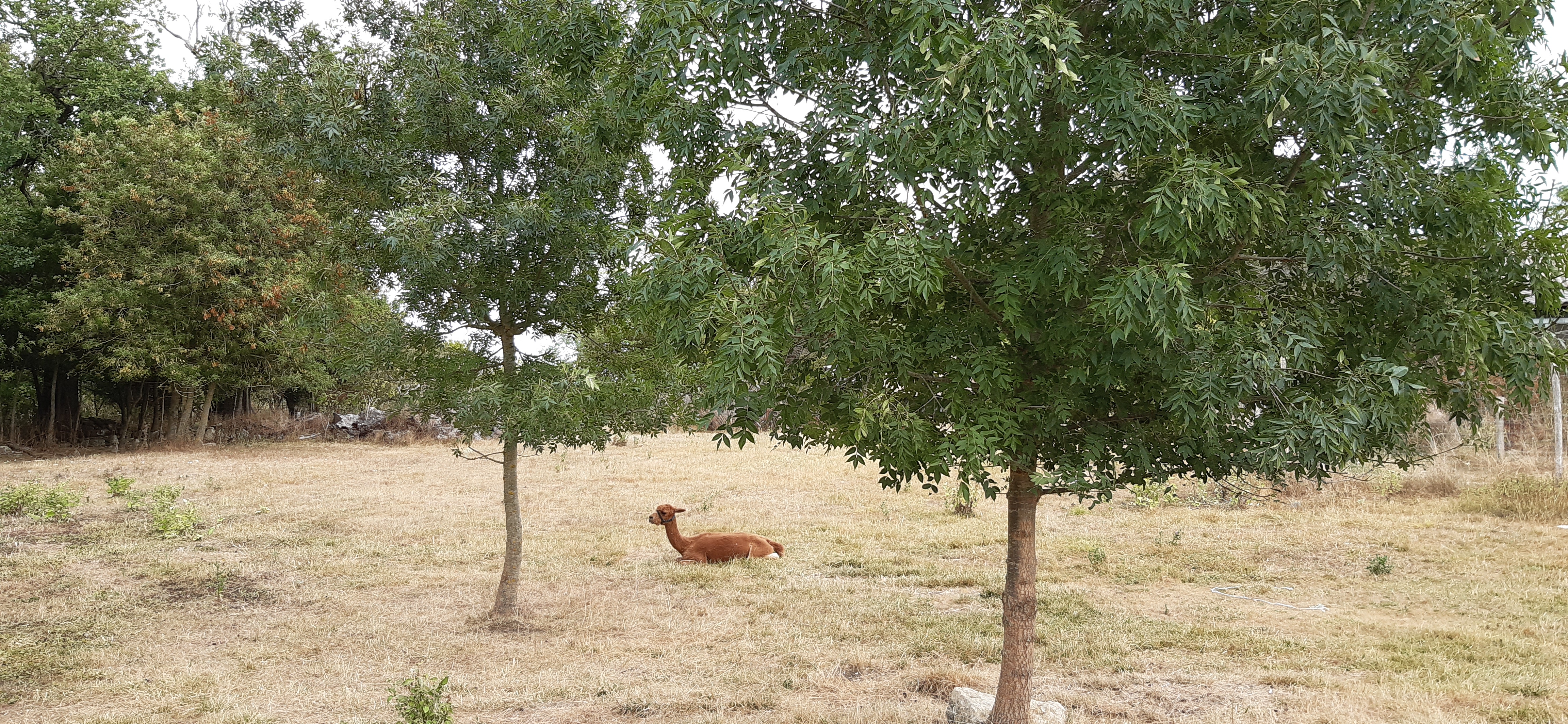 Photo n° 12 de l'avis de Dimitri.u fait le 13/08/2020 à 19:45