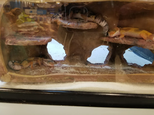 Pet Supply Store «Petco Animal Supplies», reviews and photos, 1255 Raritan Rd #140, Clark, NJ 07066, USA