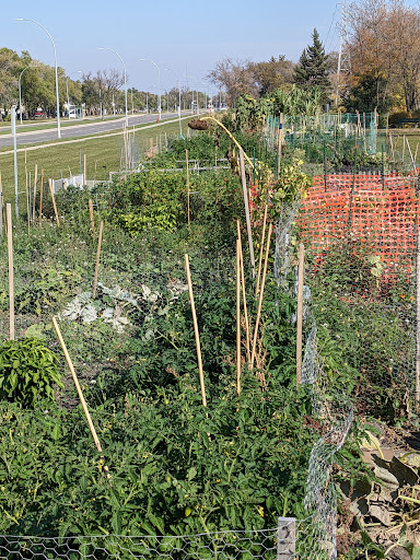 Ebby-Wentworth Community Gardens